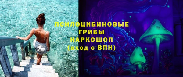 дурь Белокуриха