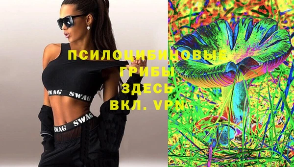 ГАЛЛЮЦИНОГЕННЫЕ ГРИБЫ Белоозёрский