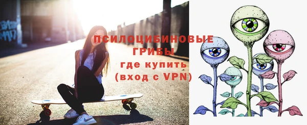 дурь Белокуриха